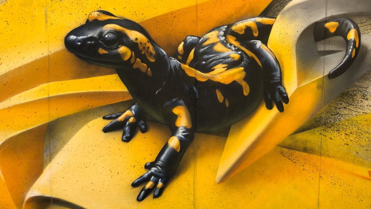 Feuersalamander mit 3D Graffiti