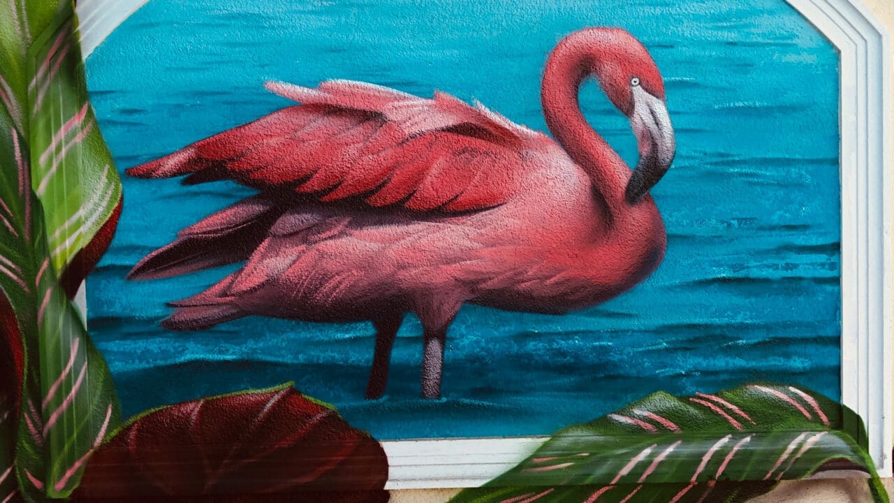Graffiti Flamingo am Pool