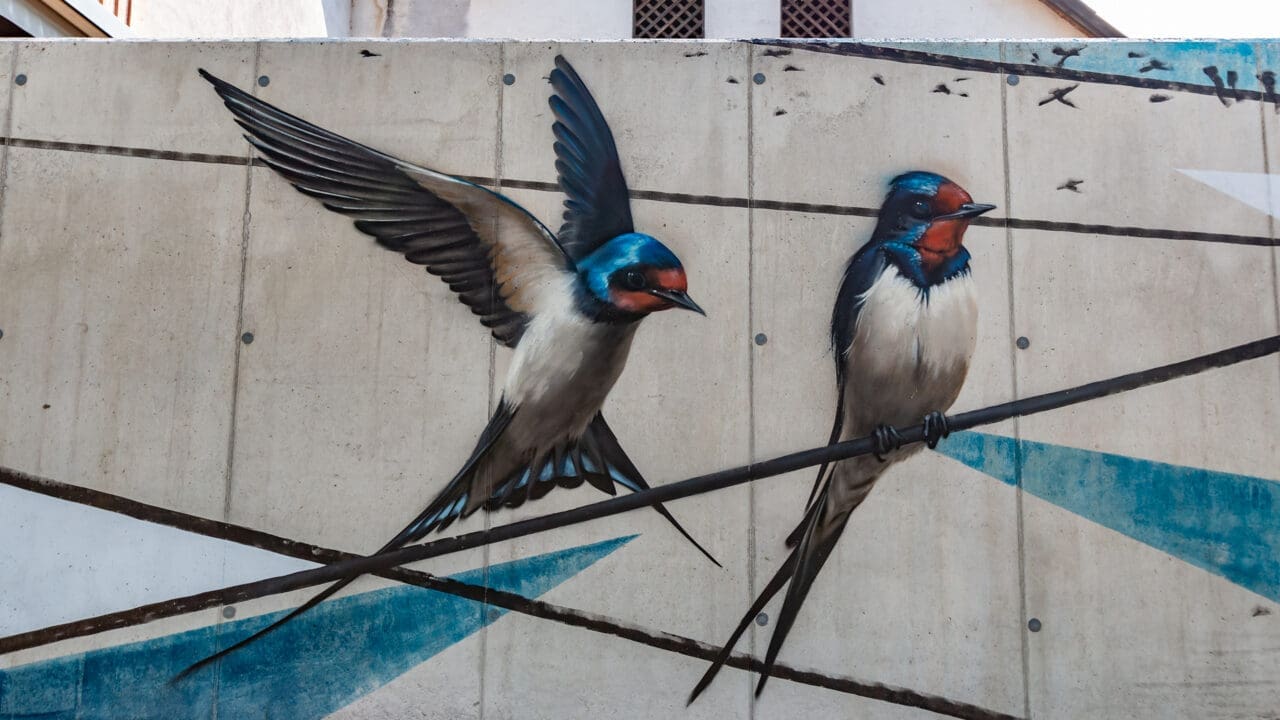 Wandkunstwerk auf Stahlbetonmauer mit Schwalben 