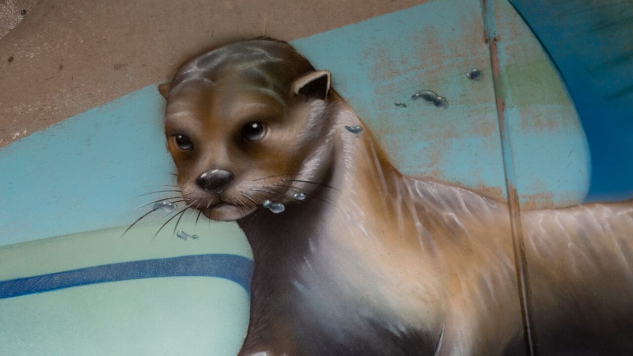 Fischotter