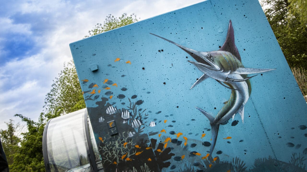 Riff mit Marlin Graffiti