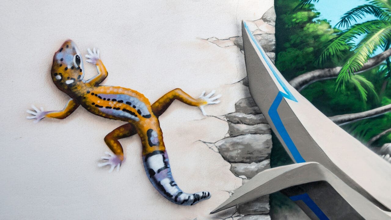 Graffiti am Pool mit Gecko