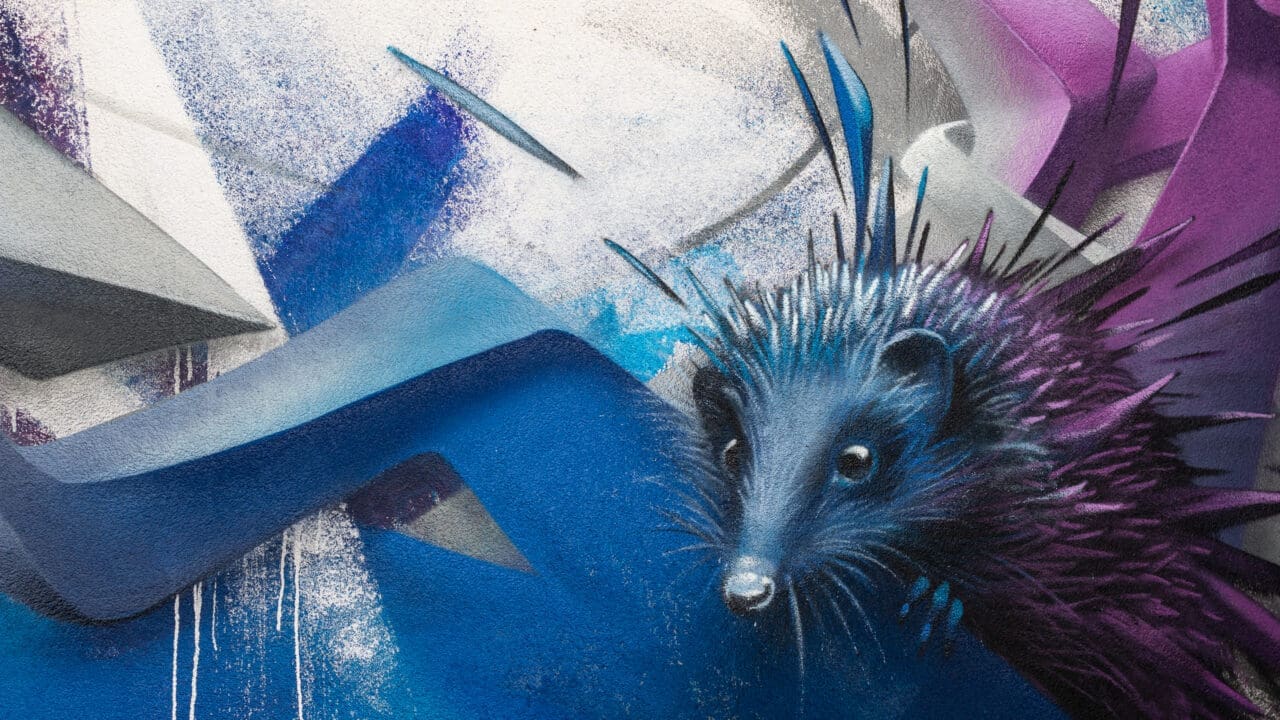 Graffiti Igel
