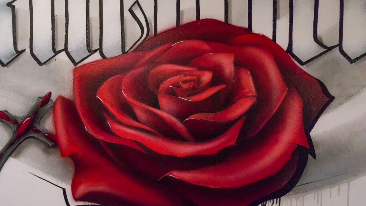 Walltatoo roses