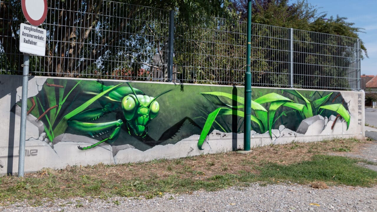 Gartenmauer Graffiti Gottesanbeterin