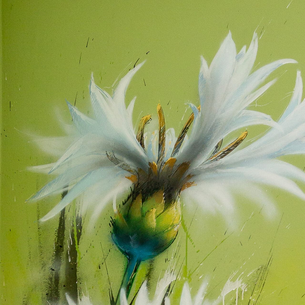 weiße Kornblume Wandbild