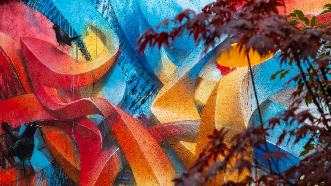 colorful graffiti in backyard