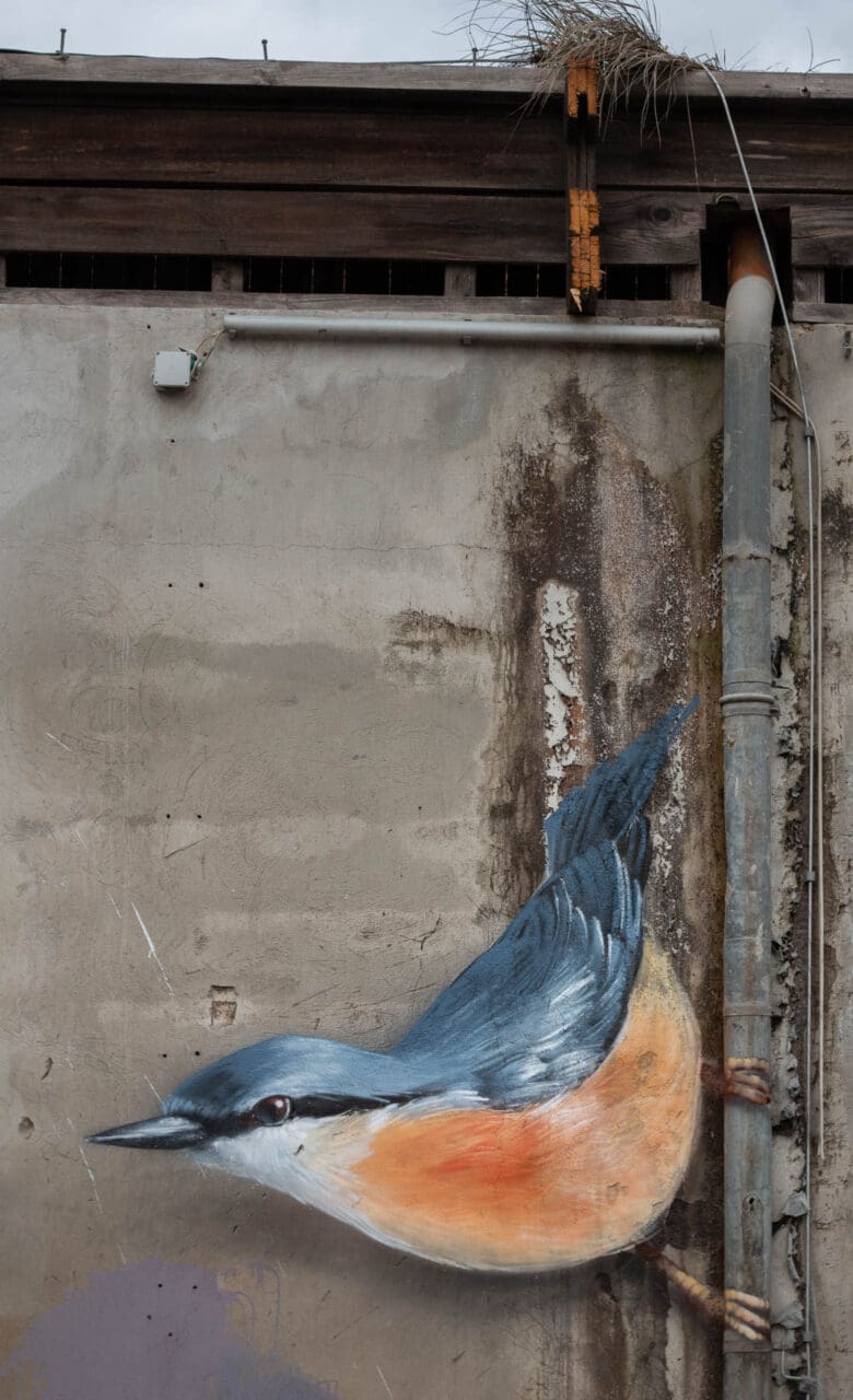 Vogel Graffiti Verlassene Orte