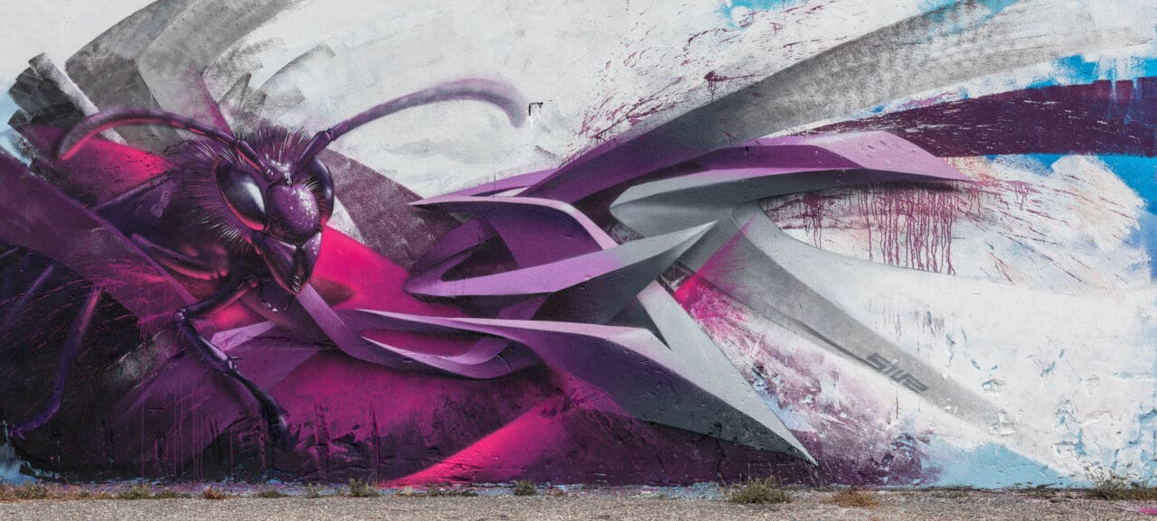 3D Graffiti mit Wespe, pink