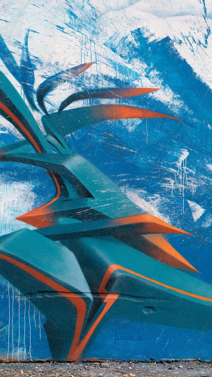 3D Graffiti Print Eisvogel