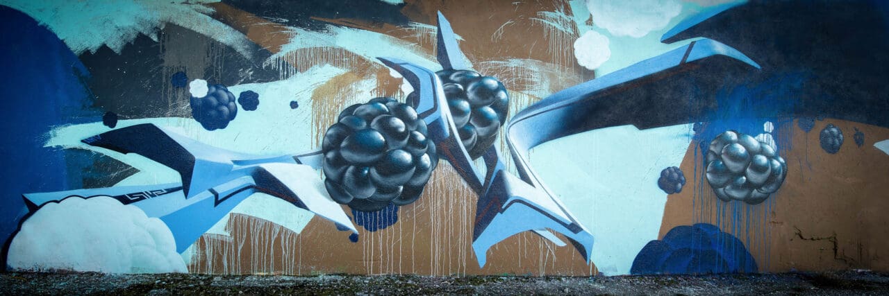 Fineartprint Graffiti Berry