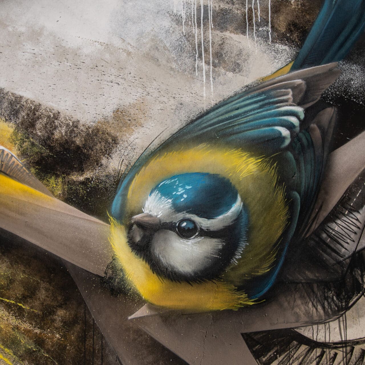 Blaumeise Graffitiprint