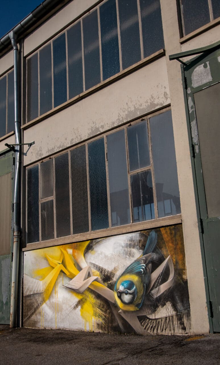 Blaumeise Streetart 