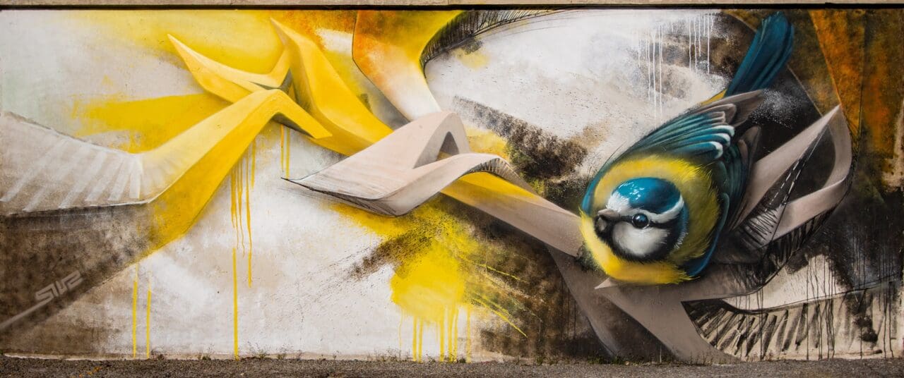 Blaumeise Graffiti Print