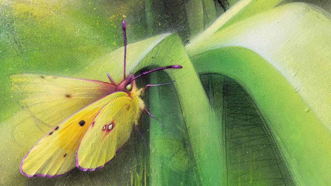 Butterfly modern art