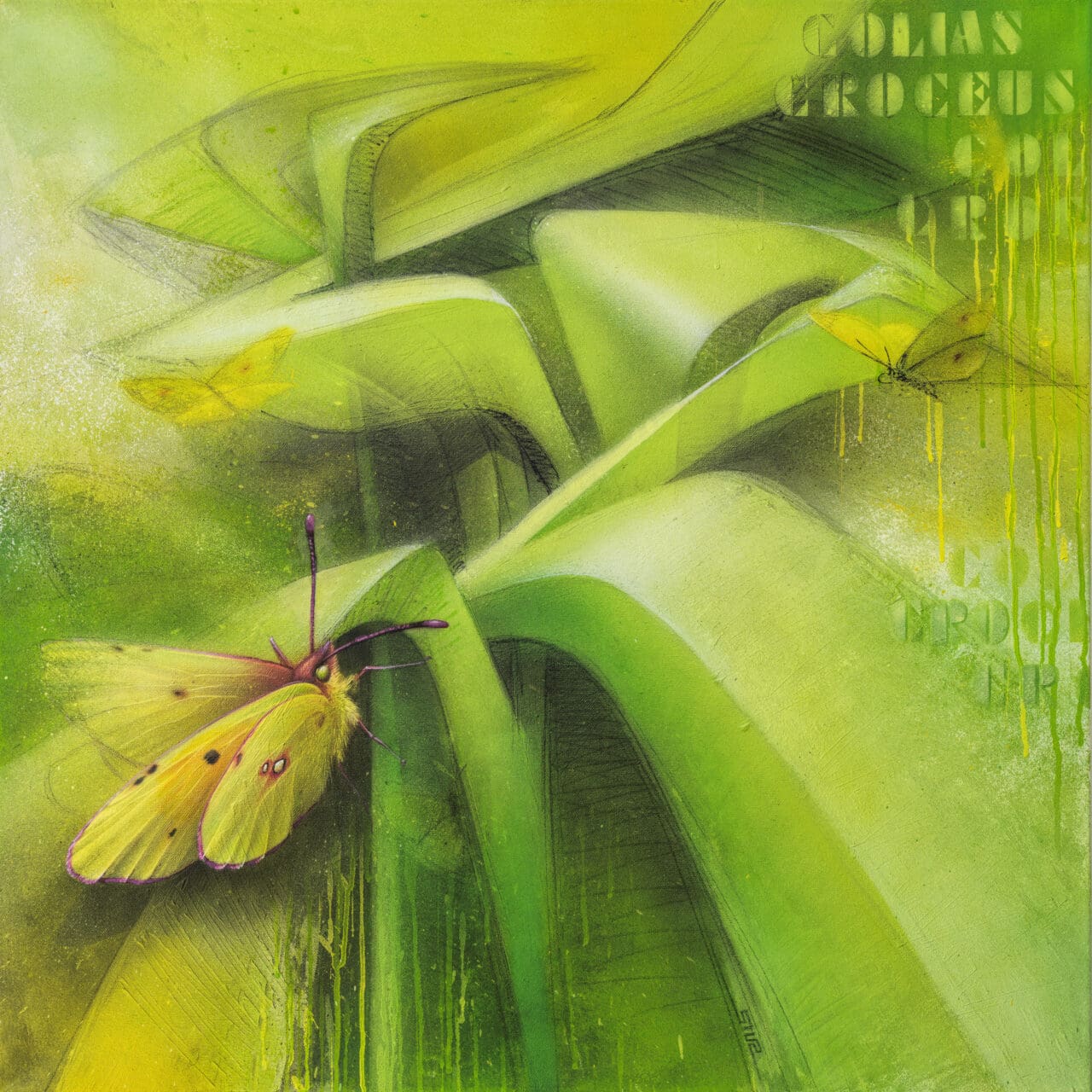 Butterfly modern art