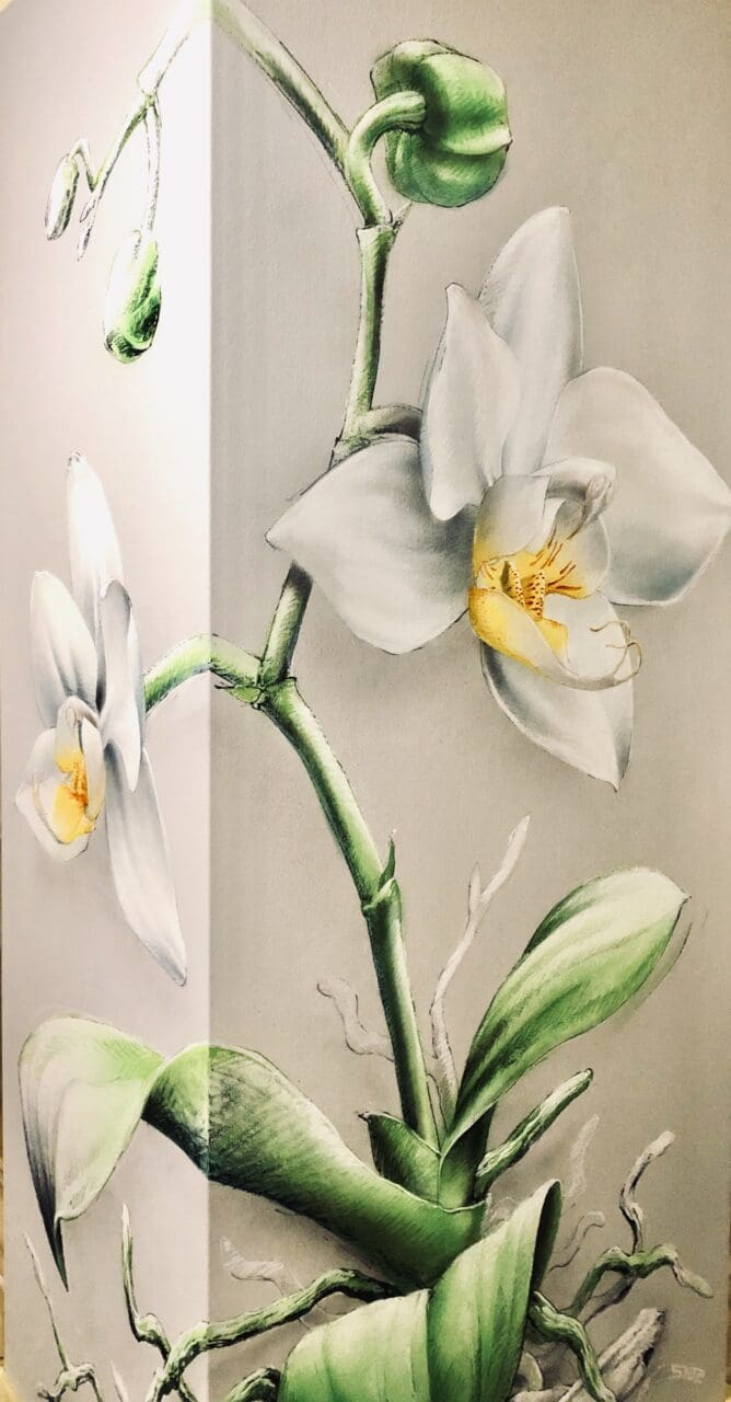 Orchidee Wandbild