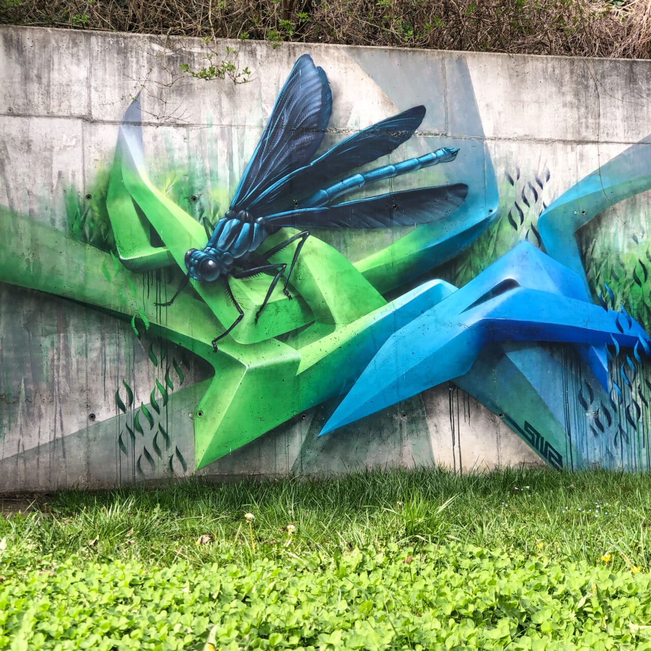 Libelle Graffiti auf Stützmauer