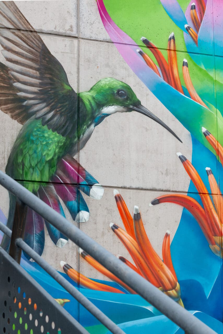 Detail Mural Kolibri