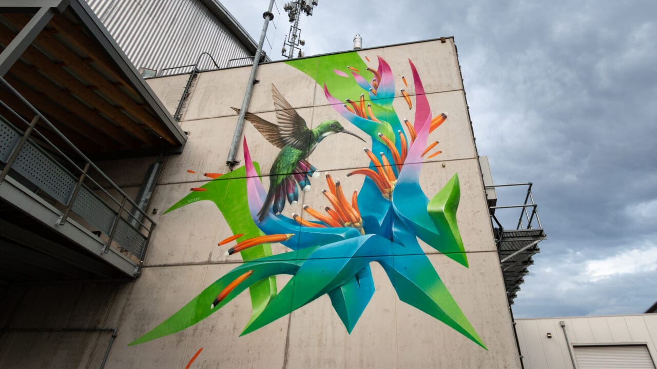 Arena Nova Kolibri Graffiti