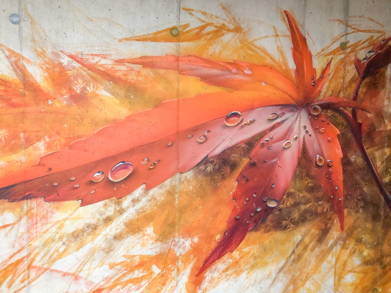 Herbstlaub Tautropfen Wandbild