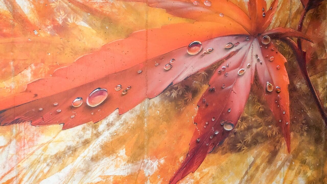 Herbstlaub Tautropfen Wandbild